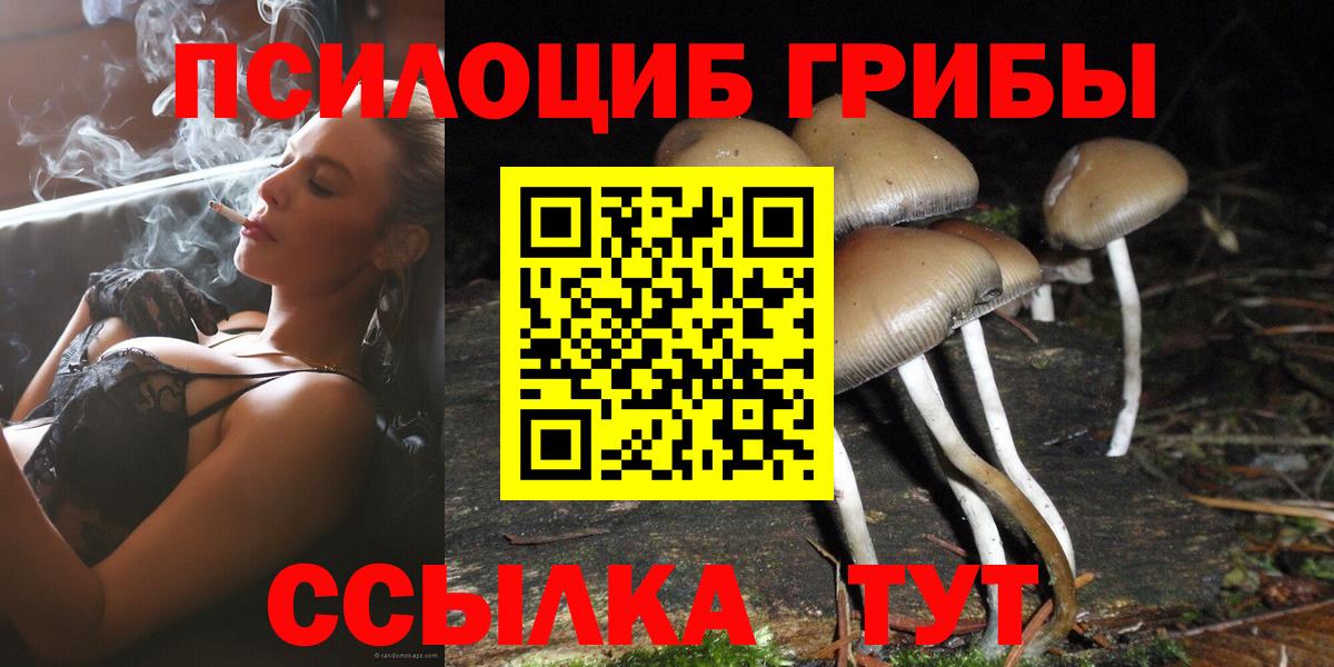 Псилоцибиновые грибы прущие грибы Петрозаводск